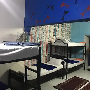 Brisbane & Hostel Kochi